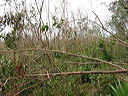 dsc00570